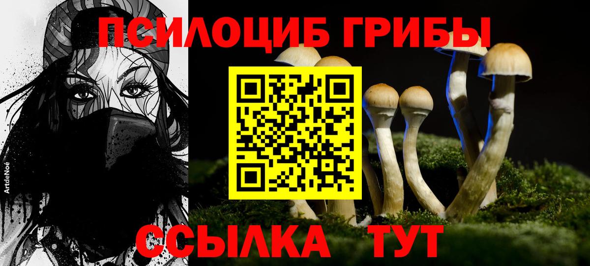 Псилоцибиновые грибы Psilocybine cubensis  Псилоцибиновые грибы мухоморы  Вход с VPN  Хабаровск 